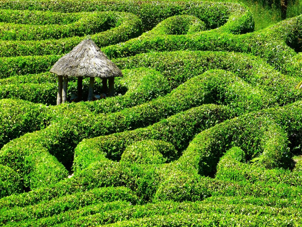 Hütte im Labyrinth
