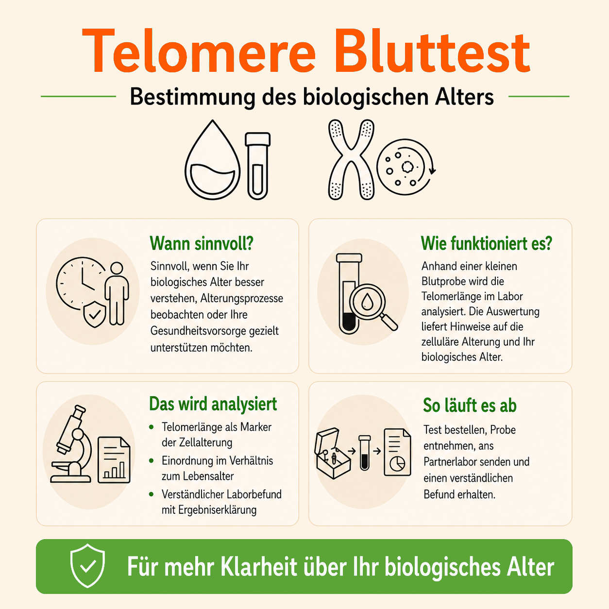 Telomere Bluttest – Bestimmung des biologischen Alters – Bild 6