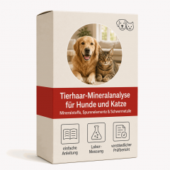Mineralstoffversorgung Haustier Hund und Katze prüfen