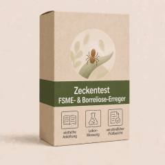 Zeckentest FSME & Borreliose - Erregernachweis in der Zecke
